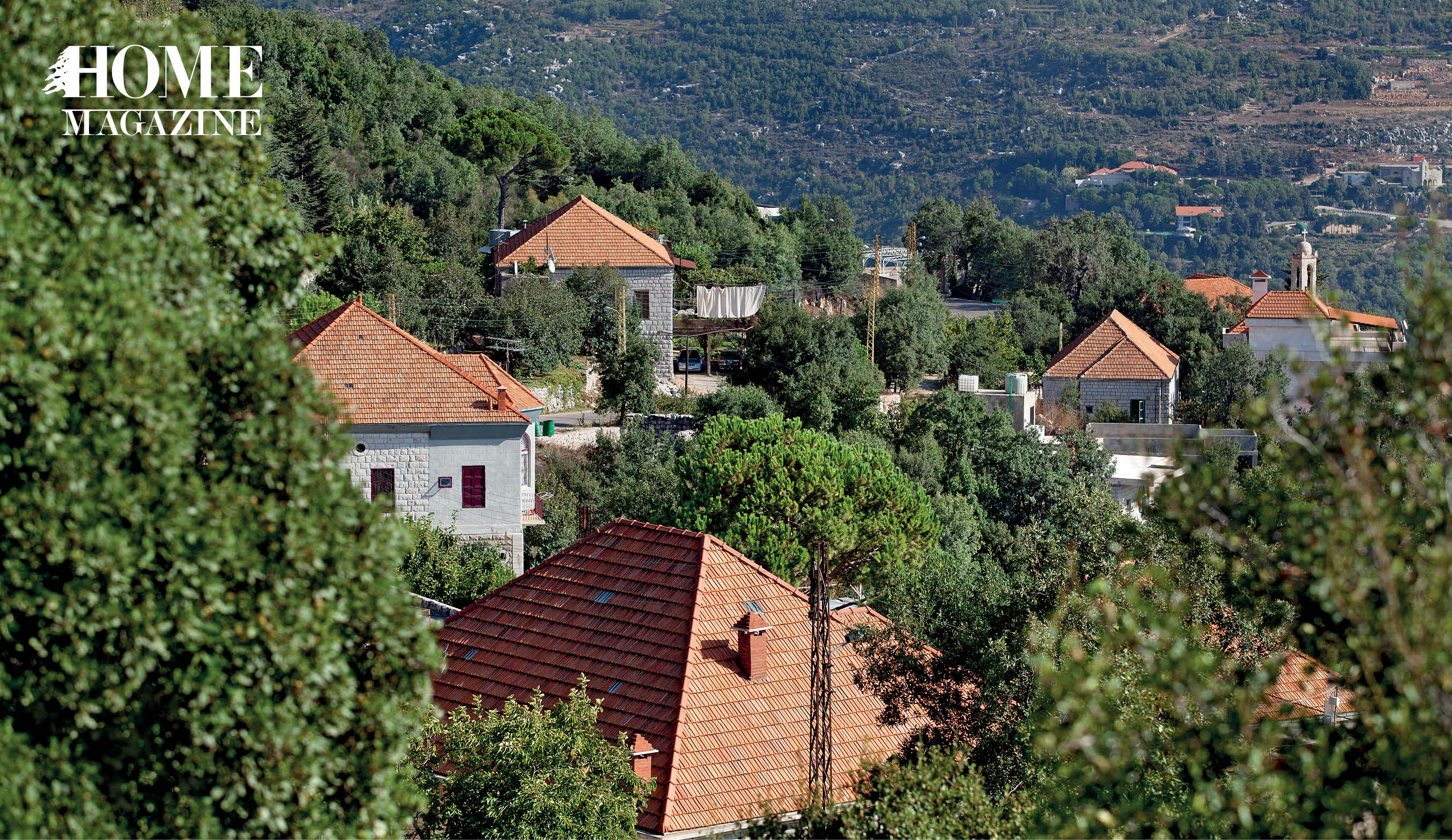 Green landscape with houses