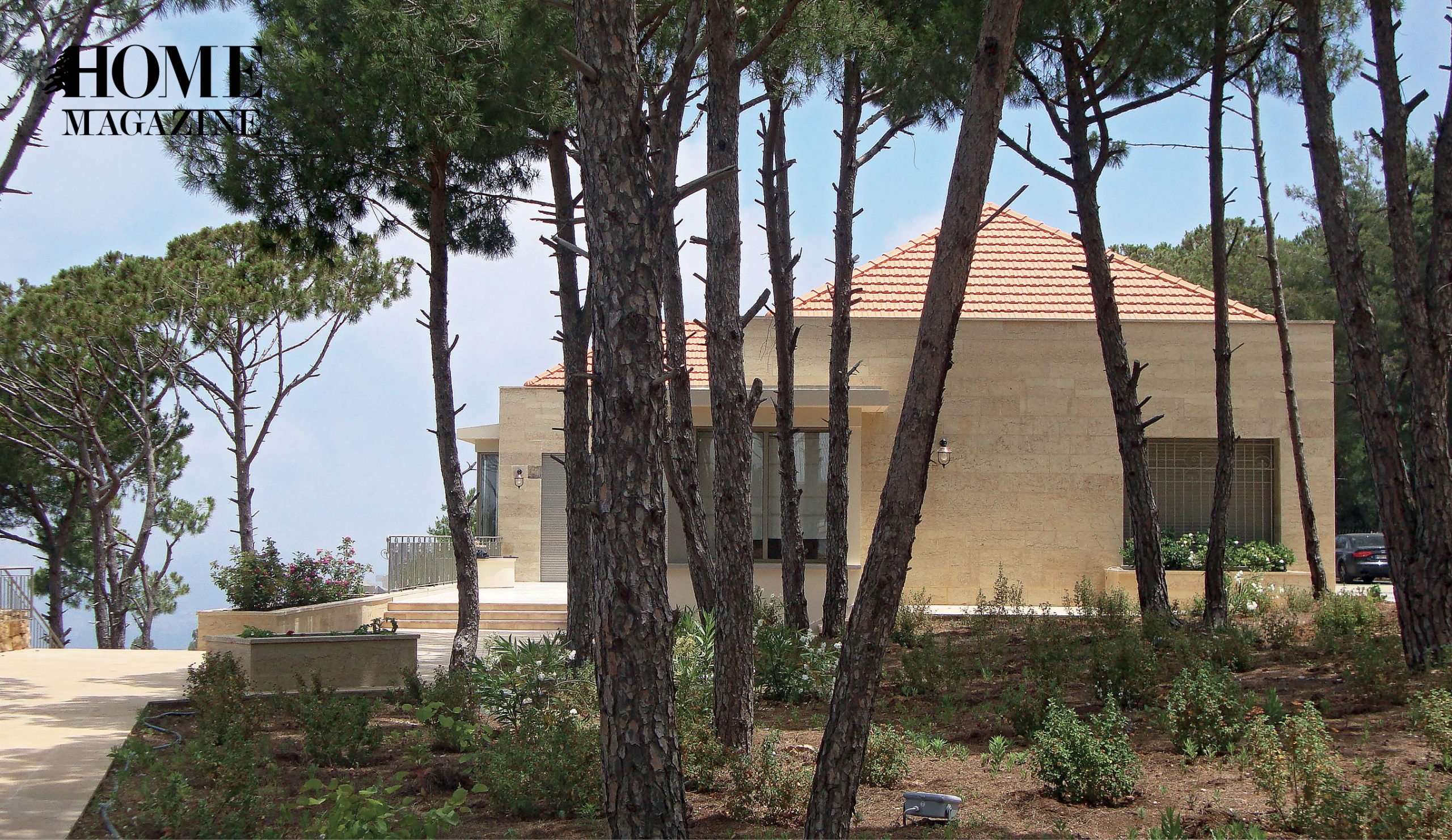 House amidst trees