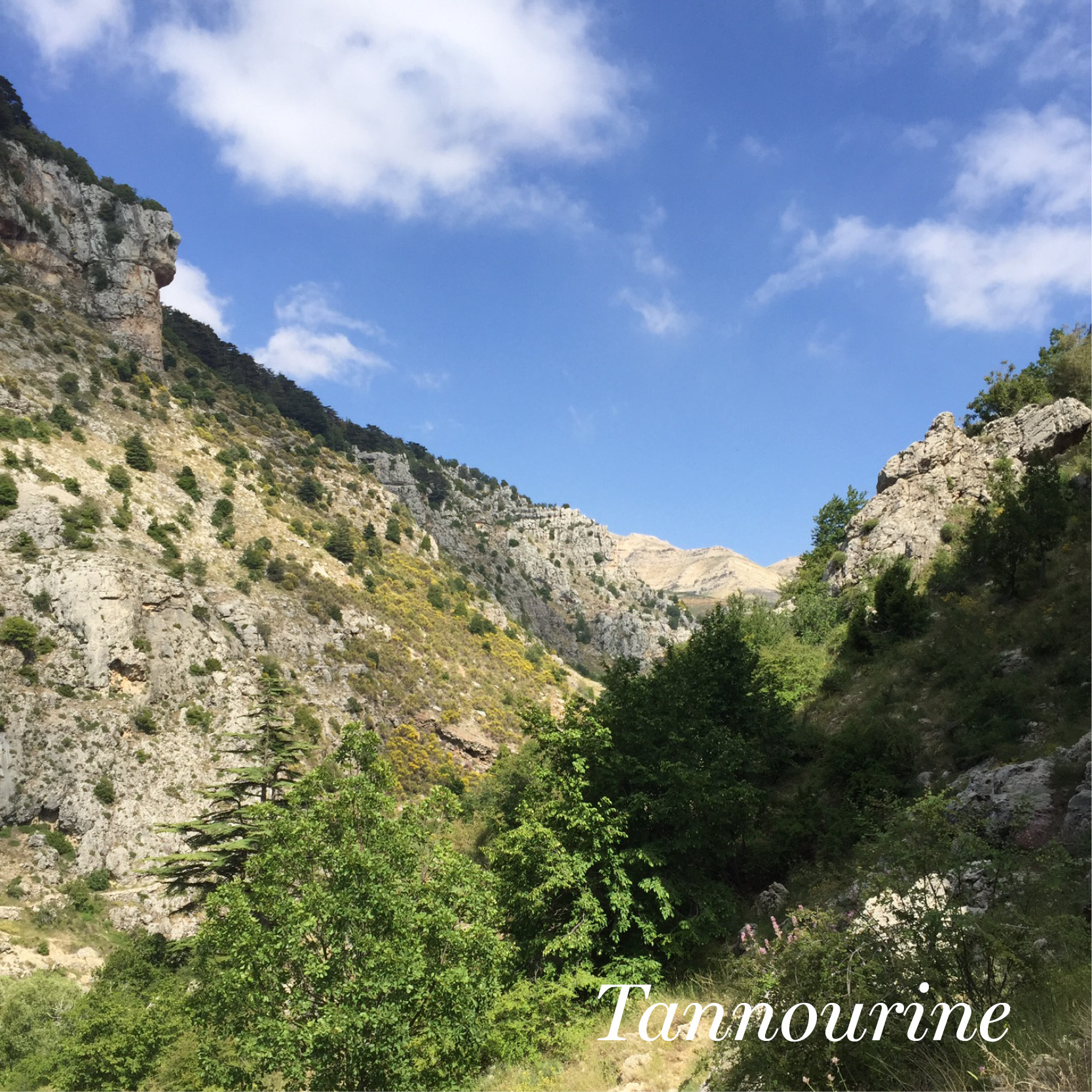 Tannourine Lebanon mountains
