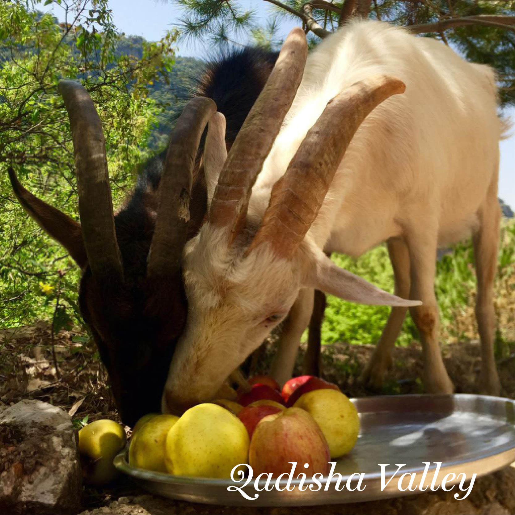 Qadisha valley