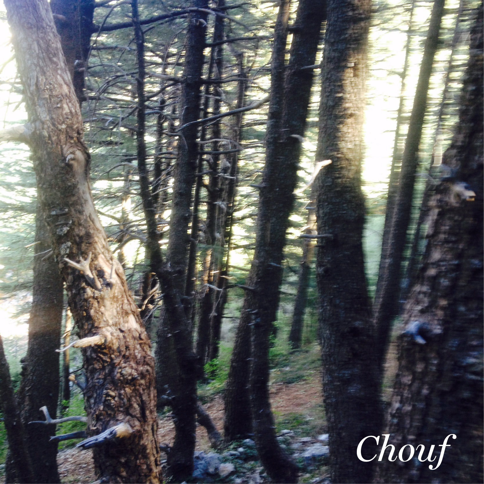 chouf lebanon